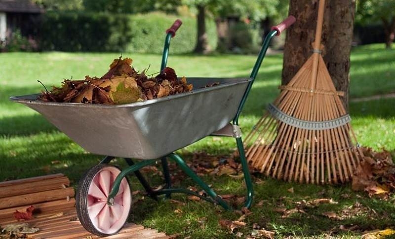 уход за фруктовыми деревьями