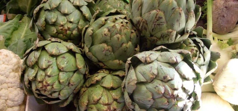 артишок что это такое