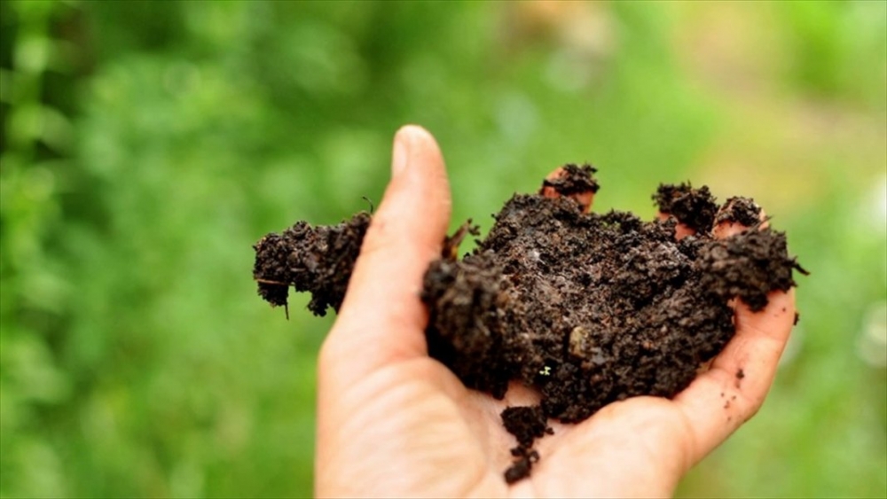 азотные минеральные удобрения