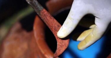 Бордосская жидкость