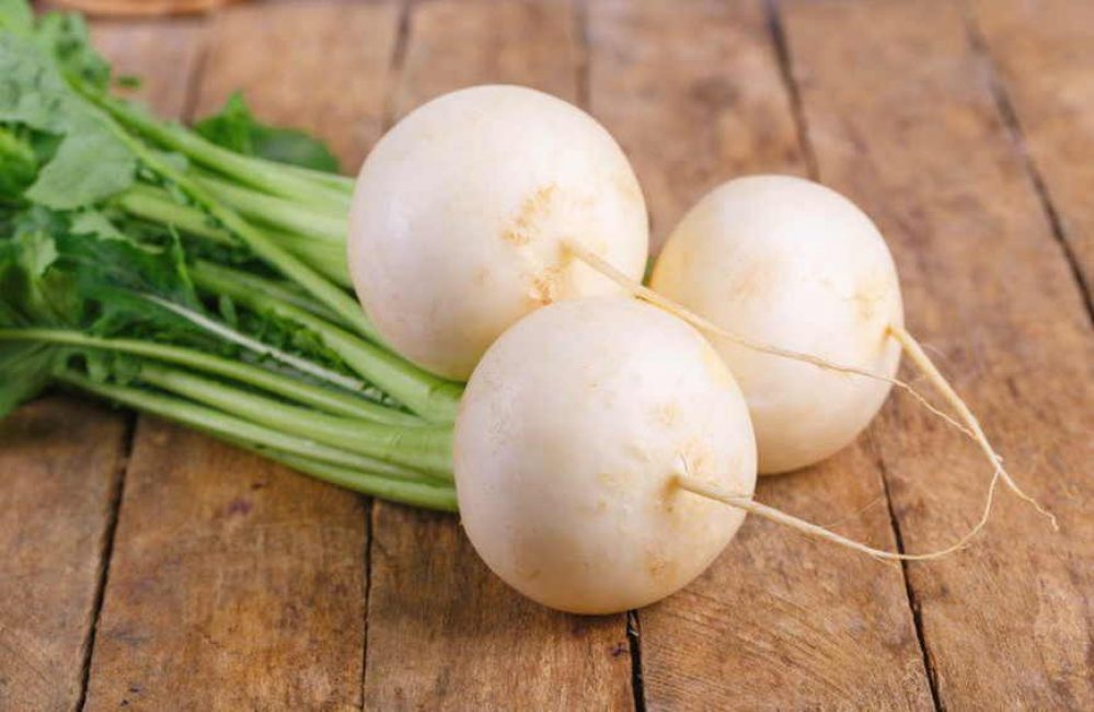 чем полезна редька для организма