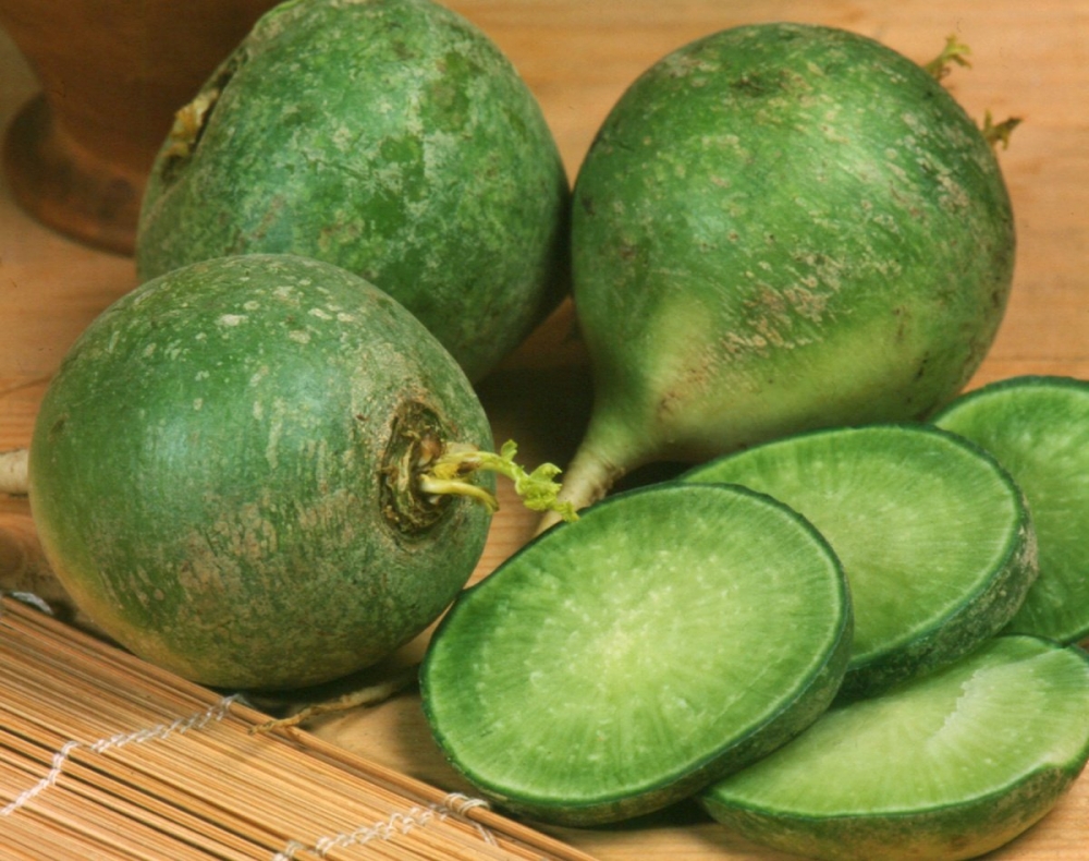 редька белая полезные свойства и противопоказания