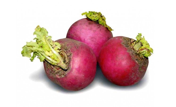 чем полезна редька для организма