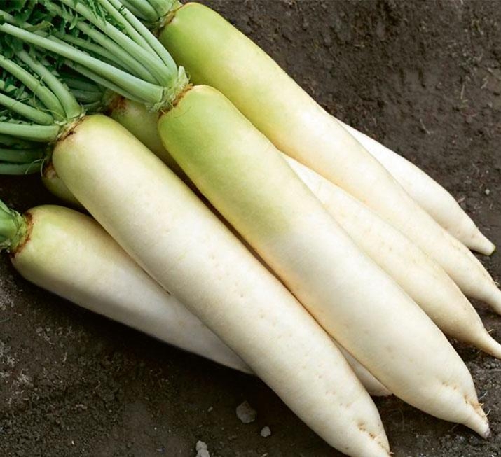 калорийность редьки белой