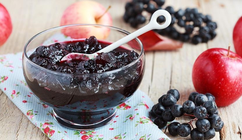 сок черноплодной рябины свойства