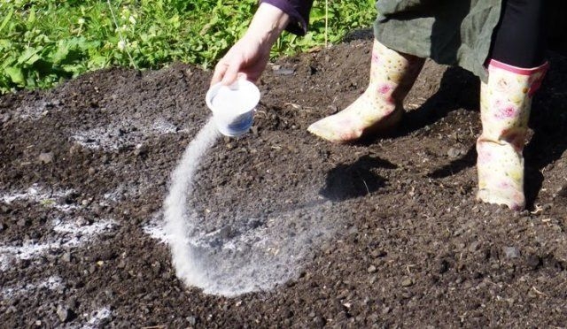 доломитовая мука как использовать в огороде