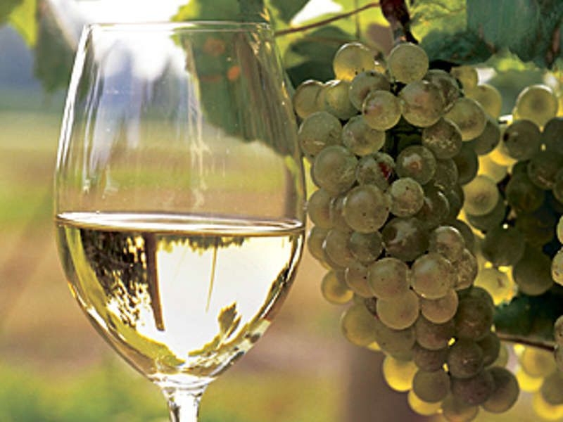 технология приготовления домашнего вина из винограда