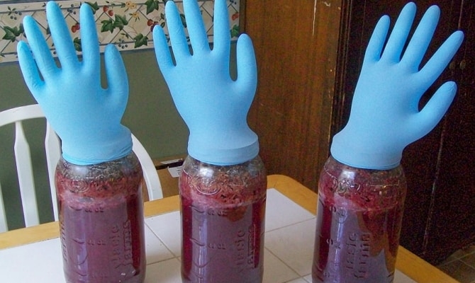 сделать самое простое вино из винограда