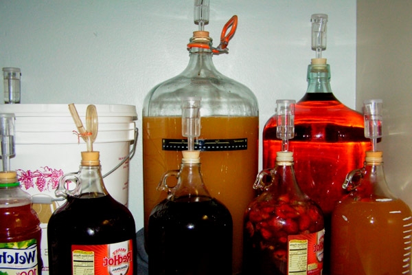 домашнее вино из дикого винограда