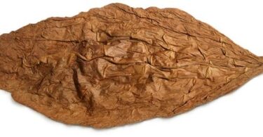 Ферментация табака в домашних условиях