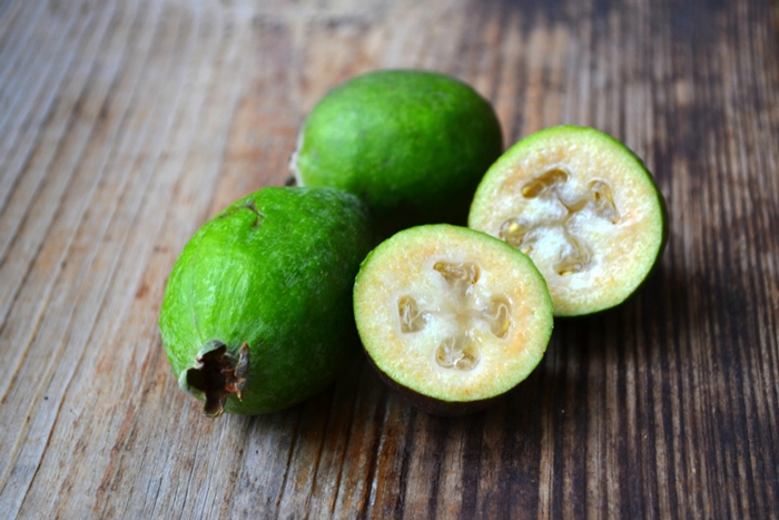 фейхоа выращивание в открытом грунте