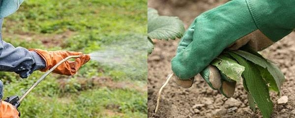 избавиться от травы