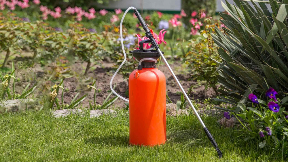 избавиться от травы