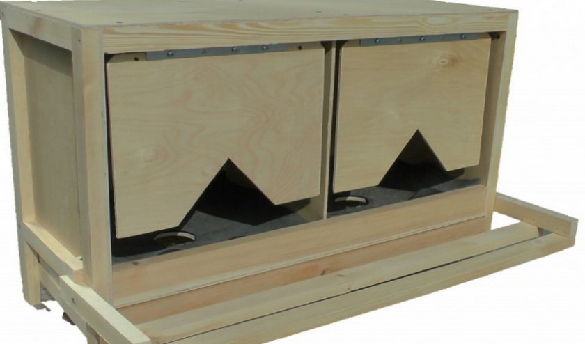 гнездо для кур несушек своими руками чертежи
