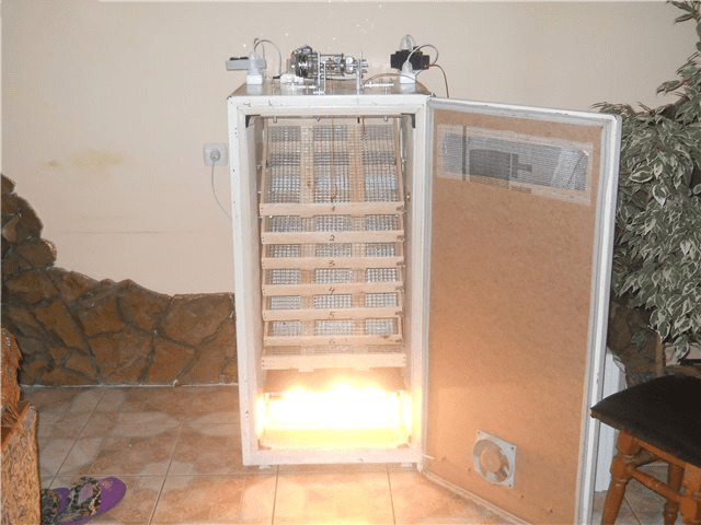 самодельный инкубатор с автоматическим переворотом яиц