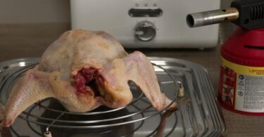 ощипать утку в домашних условиях