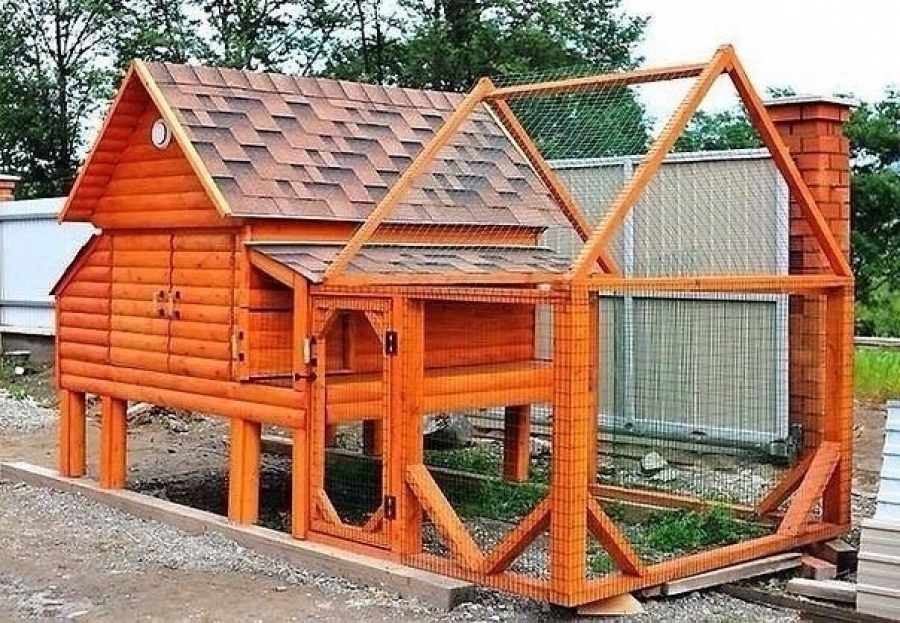 как построить курятник своими руками