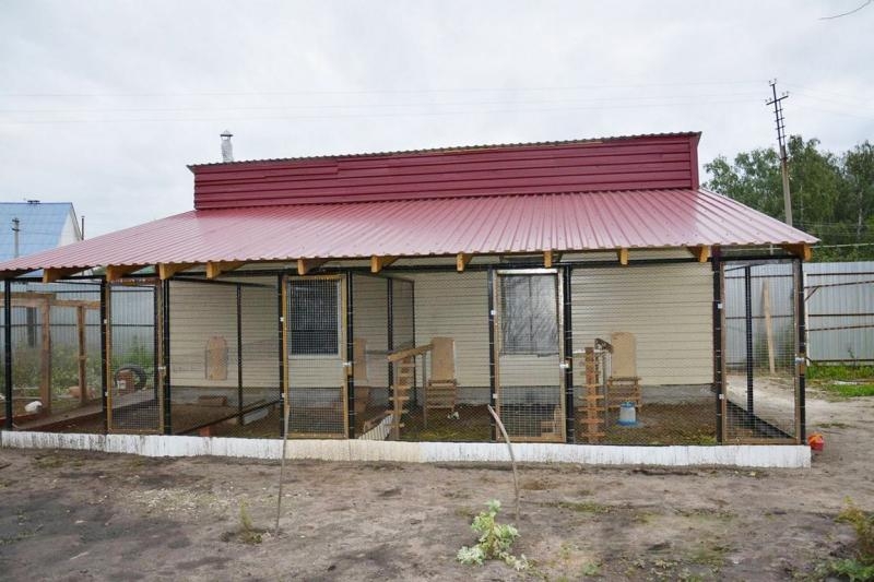 теплый курятник своими руками