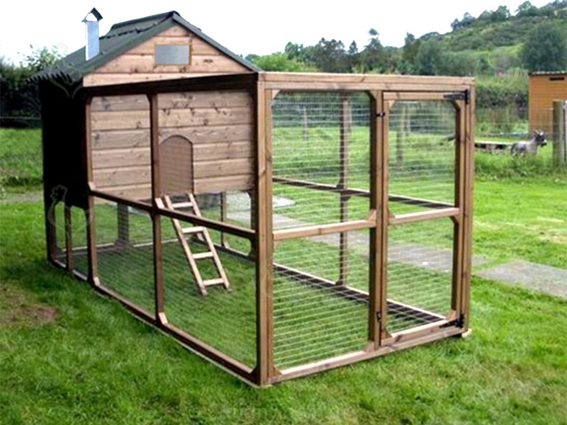 курятник на 2 кур своими руками чертежи