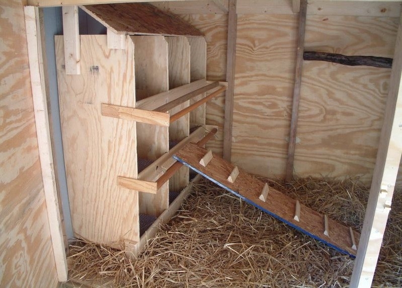 как построить курятник своими руками