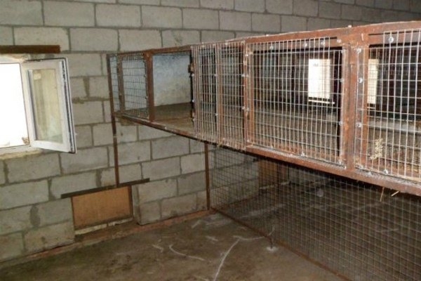 клетки для нутрий фото описание как сделать