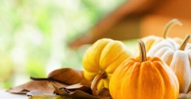 сушка тыквы