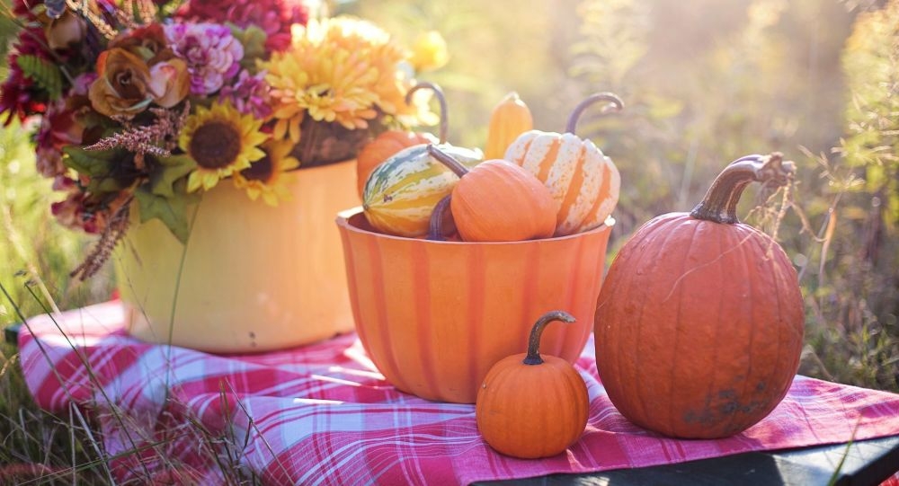 высушить тыкву для хэллоуина