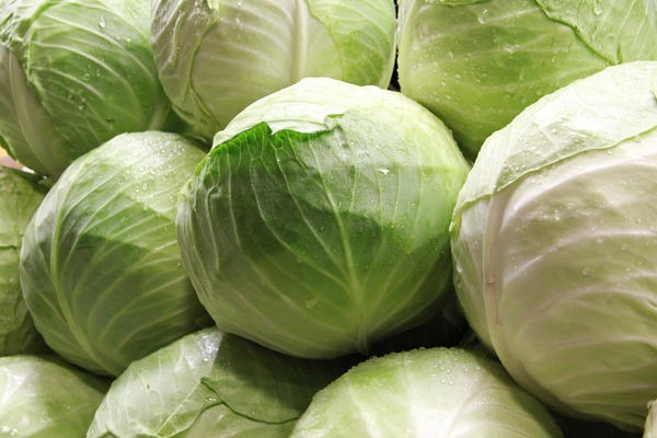 сохранить свежую капусту на зиму