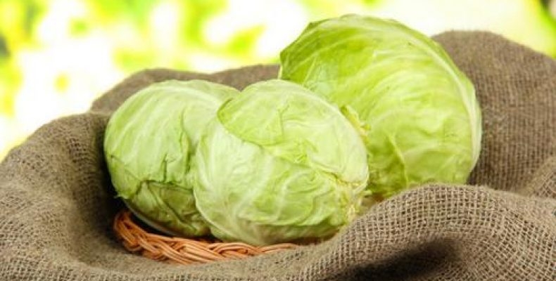 как хранить капусту в погребе зимой