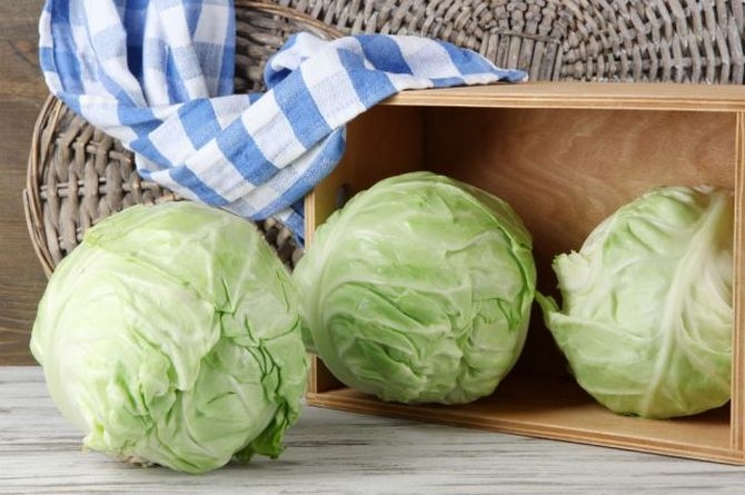 сохранить свежую капусту на зиму