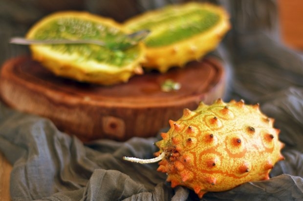 кивано выращивание в домашних условиях