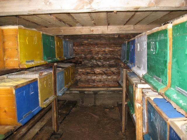 когда заносить пчел в зимовник