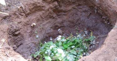 Компостная куча своими руками