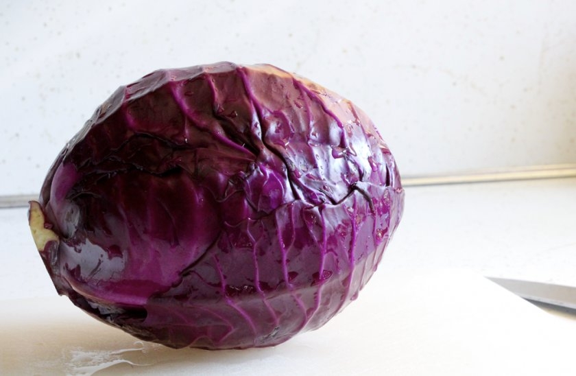 сиреневая капуста называется