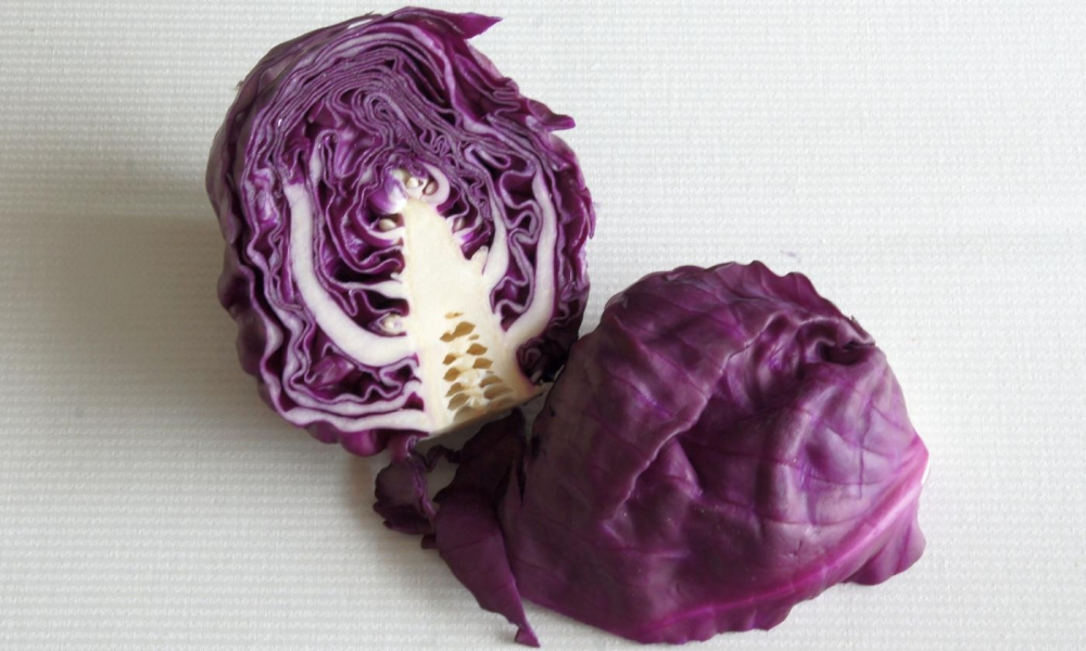 синяя капуста польза и вред