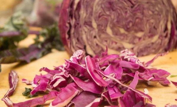 сиреневая капуста называется