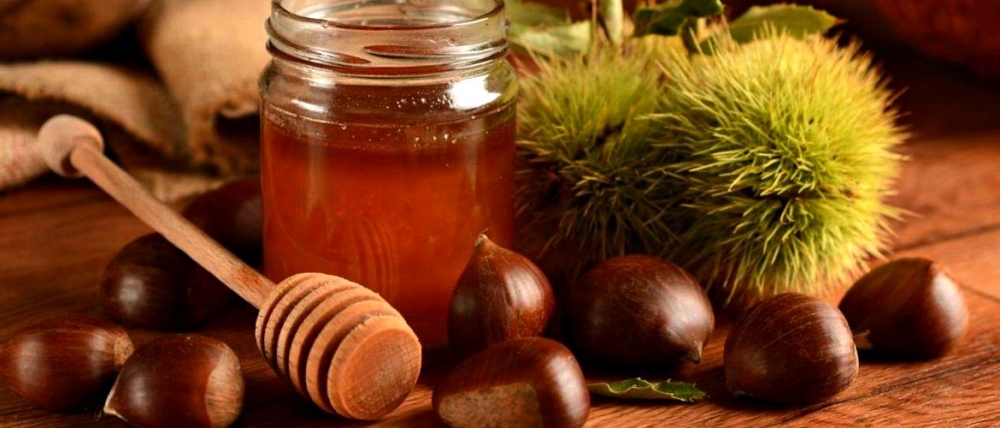 каштановый мед полезные свойства как принимать