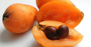 Мушмула германская