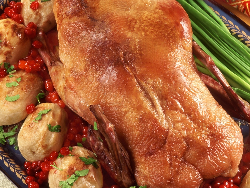 польза утиного мяса