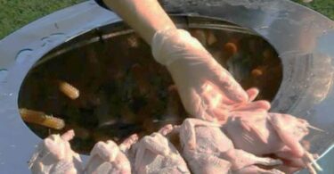 Приспособление для ощипывания птицы