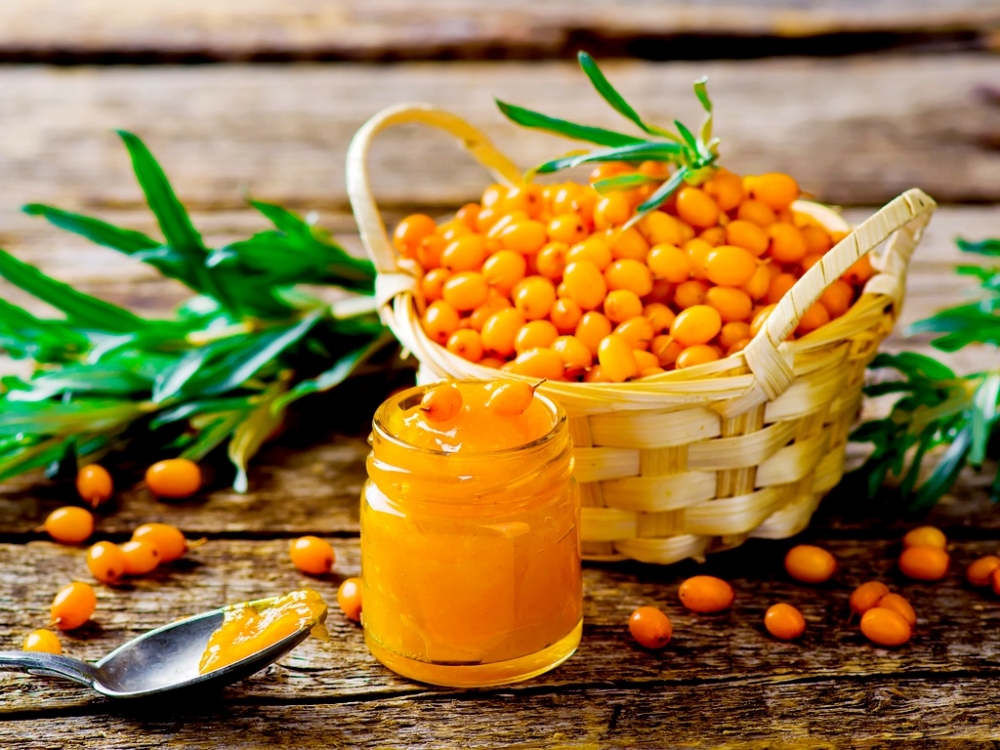 облепиха посадка и уход