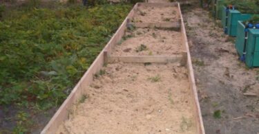 Опилки для огорода