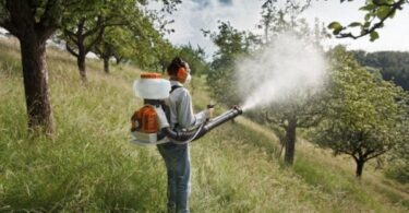 Опрыскивание сада мочевиной осенью