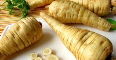 Растение пастернак