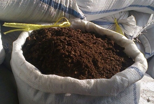 перегной как удобрение как использовать