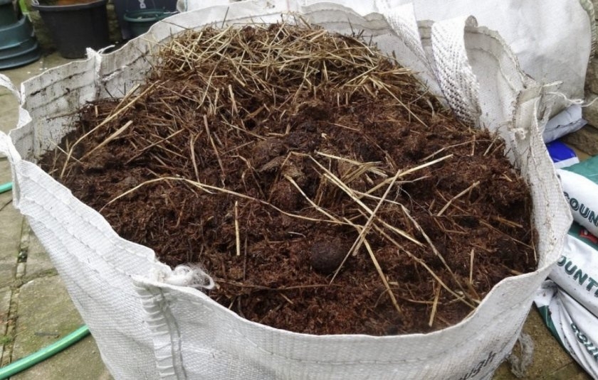 перегной что это такое