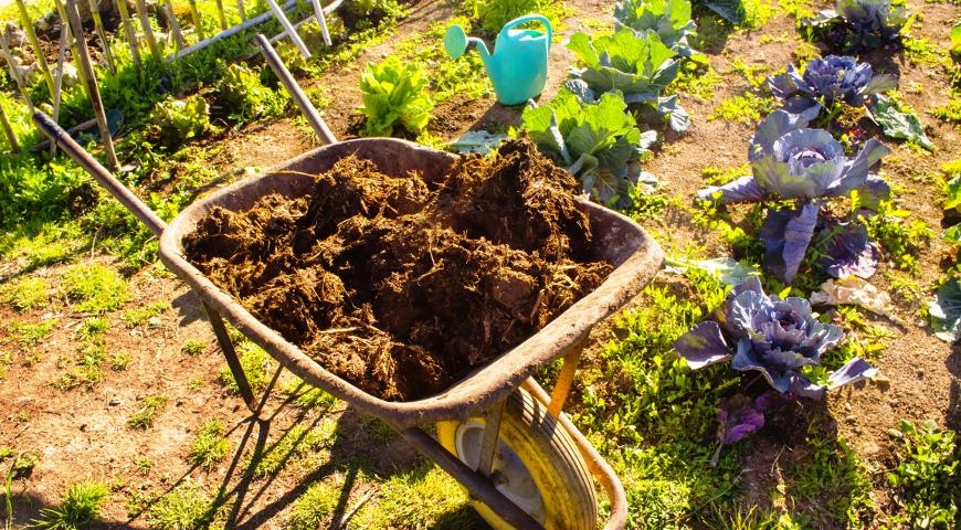 утилизация навоза