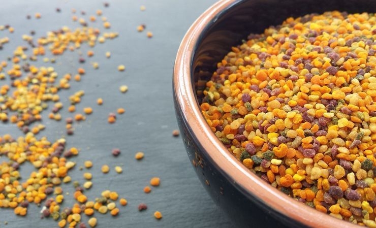 чем полезна пыльца пчел