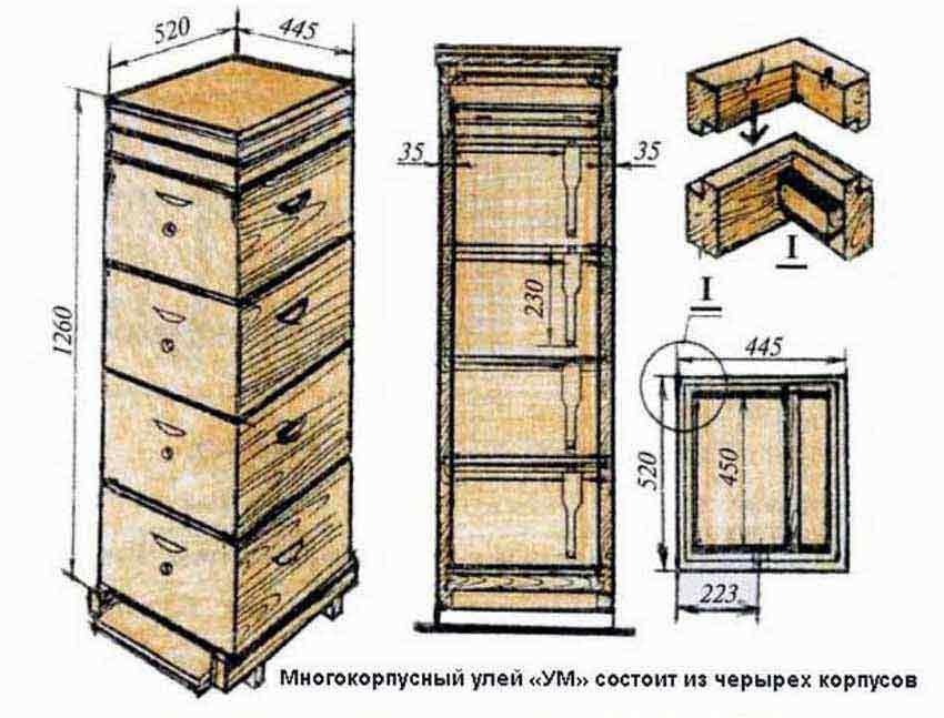 какой улей лучше