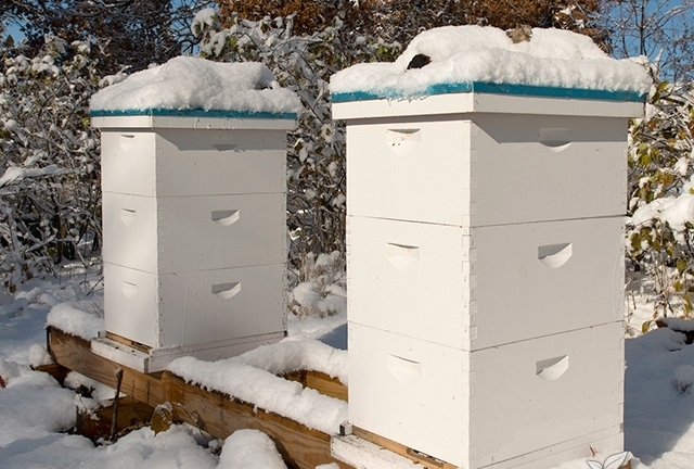 многокорпусный улей и методы пчеловождения